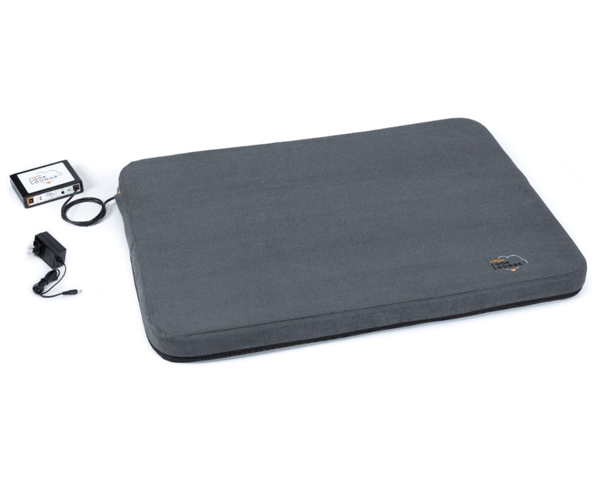 Assisi LOOP Lounge - PEMF treatment for Total Body Pain & Inflammation Relief