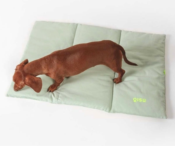 Flat Padded Nomad Dog Bed (by Qisu) - Perfect For Travelling, Home, the Park, Visiting Friends