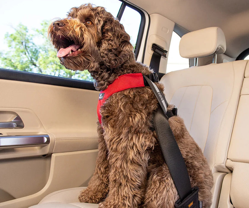 Sleepypod Clickit Sport Plus Dog Travel Harness - Keep Your Dog Safe In and Out Of The Car
