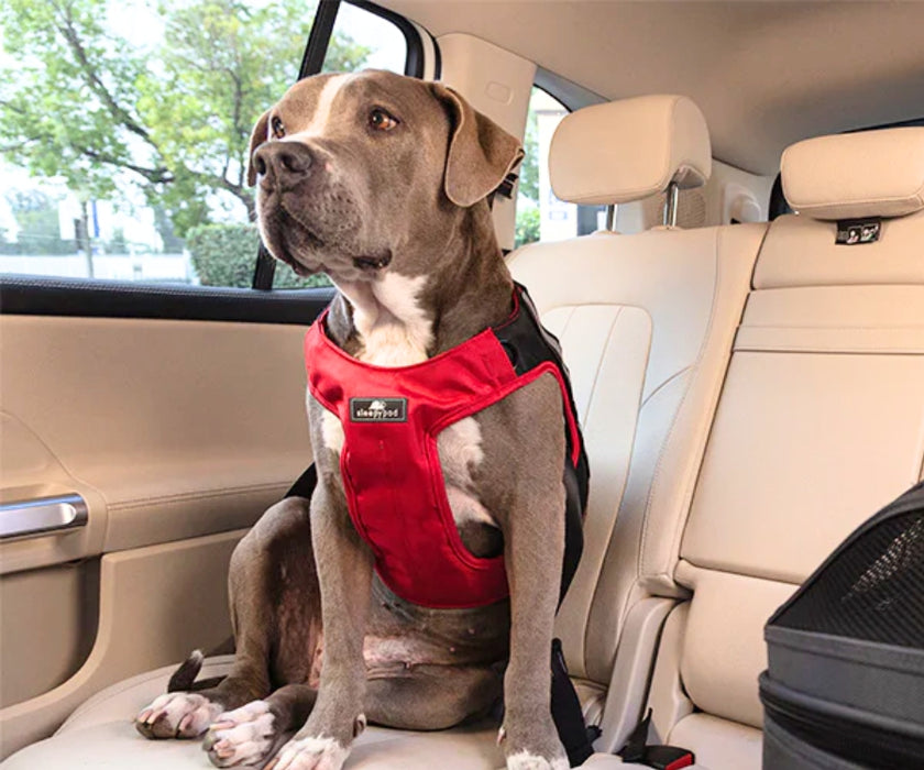 Sleepypod Clickit Dog Harness Terrain Plus Car Safe Harness For Your Dog