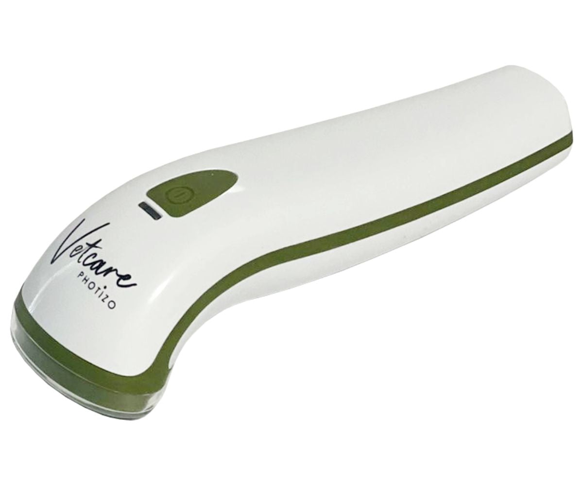 Light Therapy for Dogs - How Does it Work and Help My Dog
