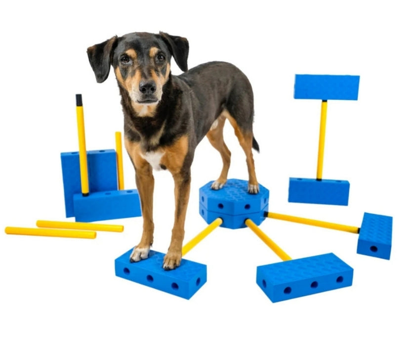 NEW! FitPaws FitKinect - Blocks and Tubes Great for Building Strength and Improving Condition