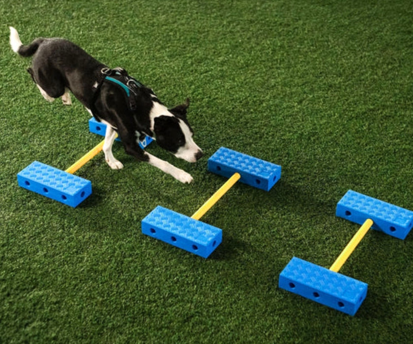 NEW! FitPaws FitKinect - Blocks and Tubes Great for Building Strength and Improving Condition