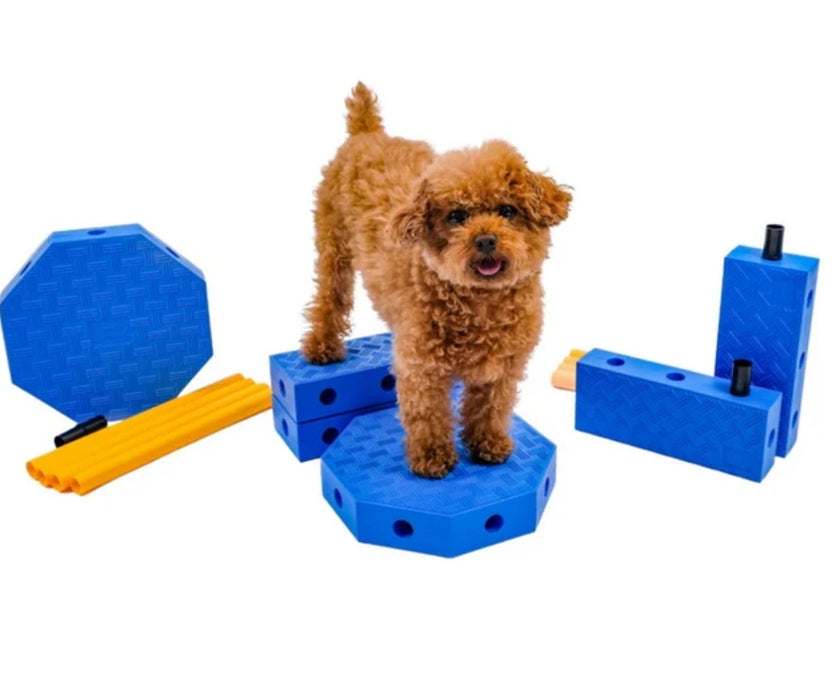 NEW! FitPaws FitKinect - Blocks and Tubes Great for Building Strength and Improving Condition