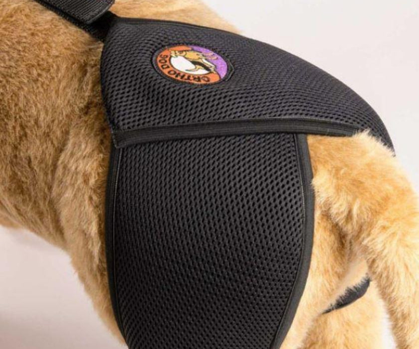 Orthodog Dog Hip Brace