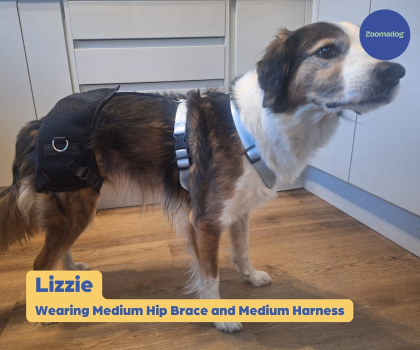 Zoomadog Happy Hips Dog Brace - Excellent for Hip Dysplasia & Hip Weakness