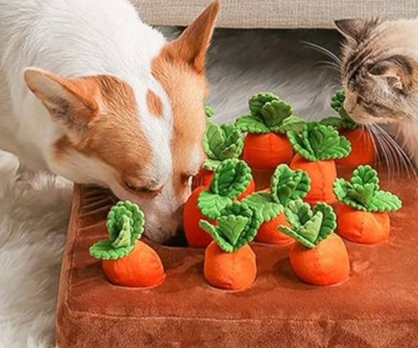 Interactive Carrot Garden Game for Dogs - Mentally Stimulating Snuffle Toy