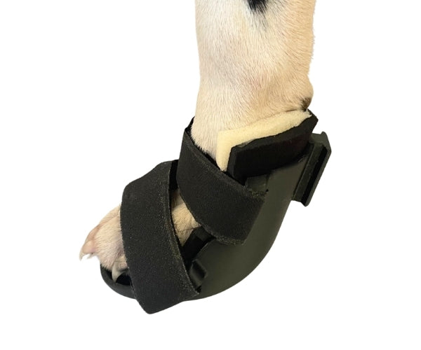 Zoomadog Buster Boot Paw Splint for Dogs - Ideal for Broken Toes & Paw Injuries (firm)