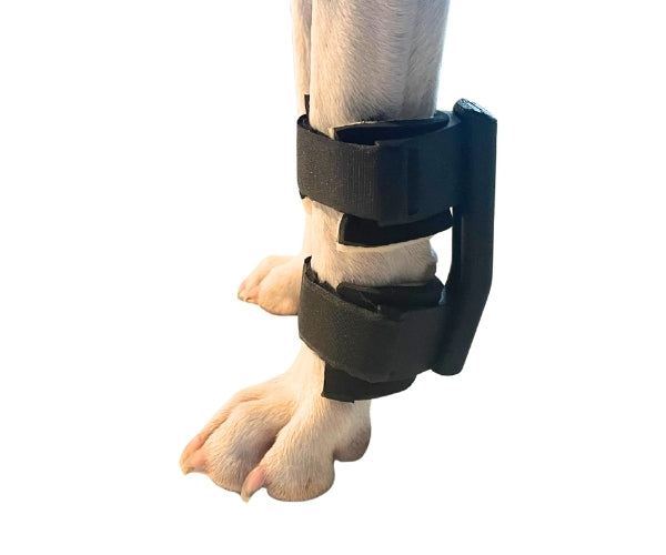 *NEW* Carpal Dog Splint by Zoomadog - Ideal for Carpal Damage, Weakness & Injuries (firm)