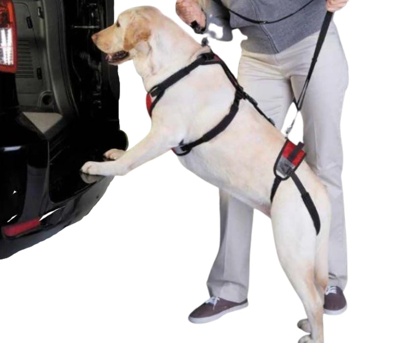 TUSH Ultimate Support Harness for Dogs (comes with lead)