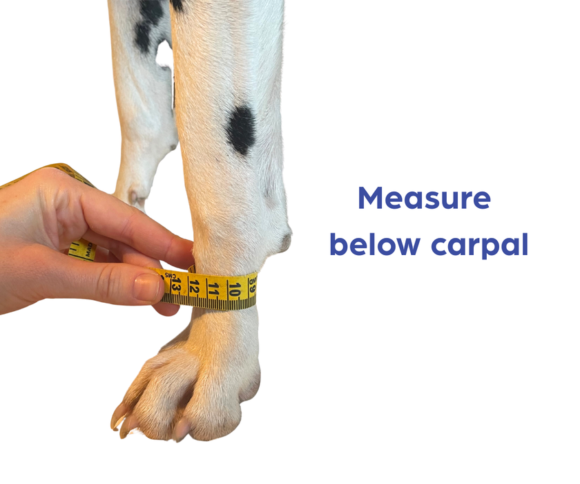 Zoomadog Carpal Splint for Dogs with Memory Foam Padding (firm)