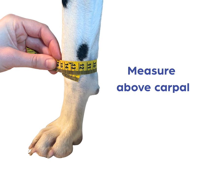 Zoomadog Carpal Splint for Dogs with Memory Foam Padding (firm)