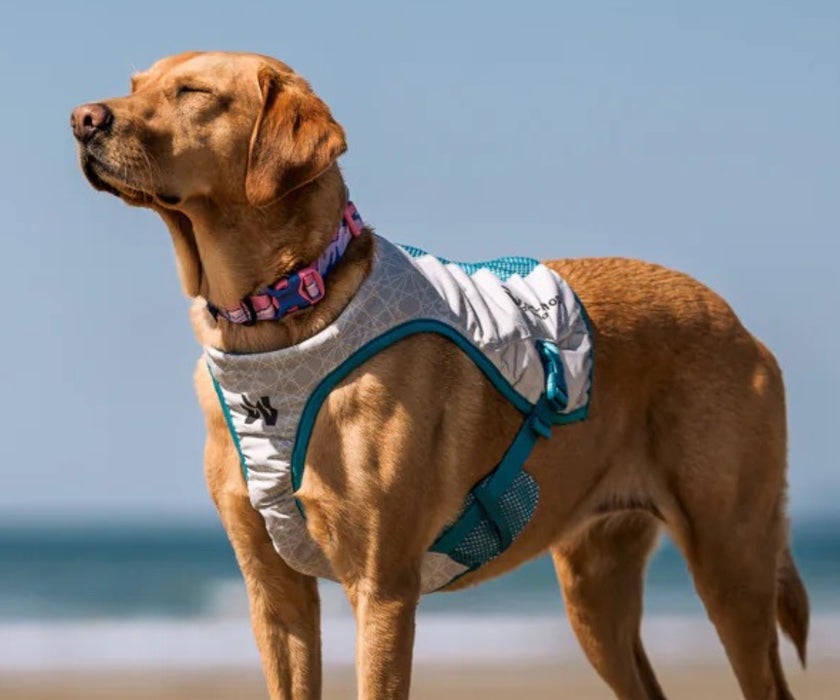 Non-Stop Dogwear Cooling Dog Vest - Long-Lasting Cooling to Keep Your Dog Comfortable on Warm Days