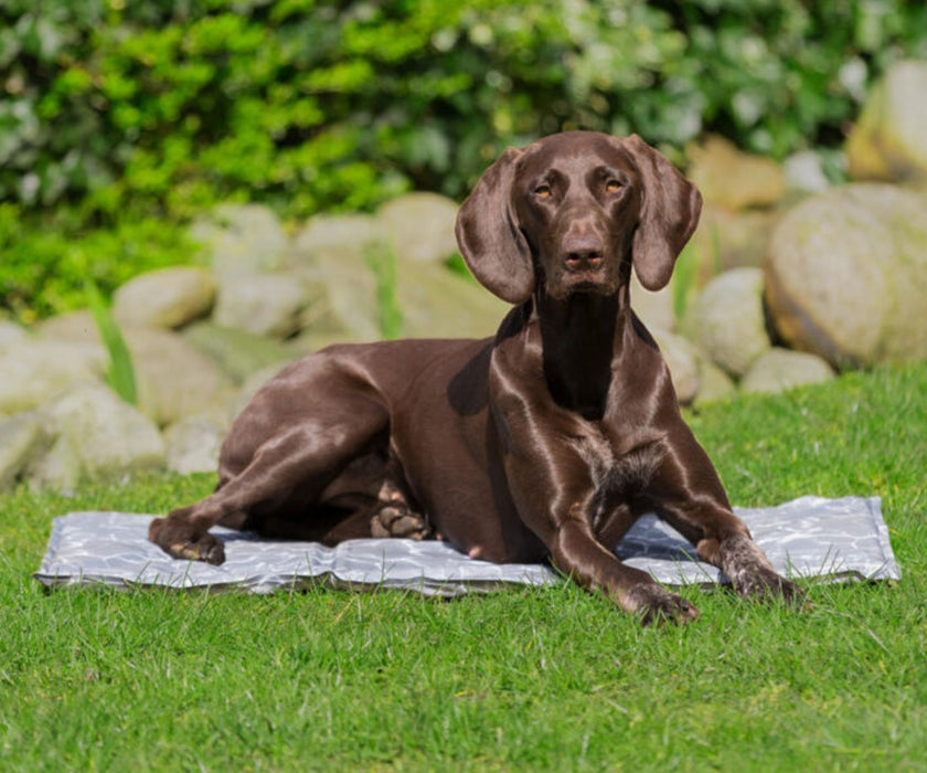 Trixie Soft Cooling Mat for Dogs - Helps Keep Your Dog Cool in High Temperatures