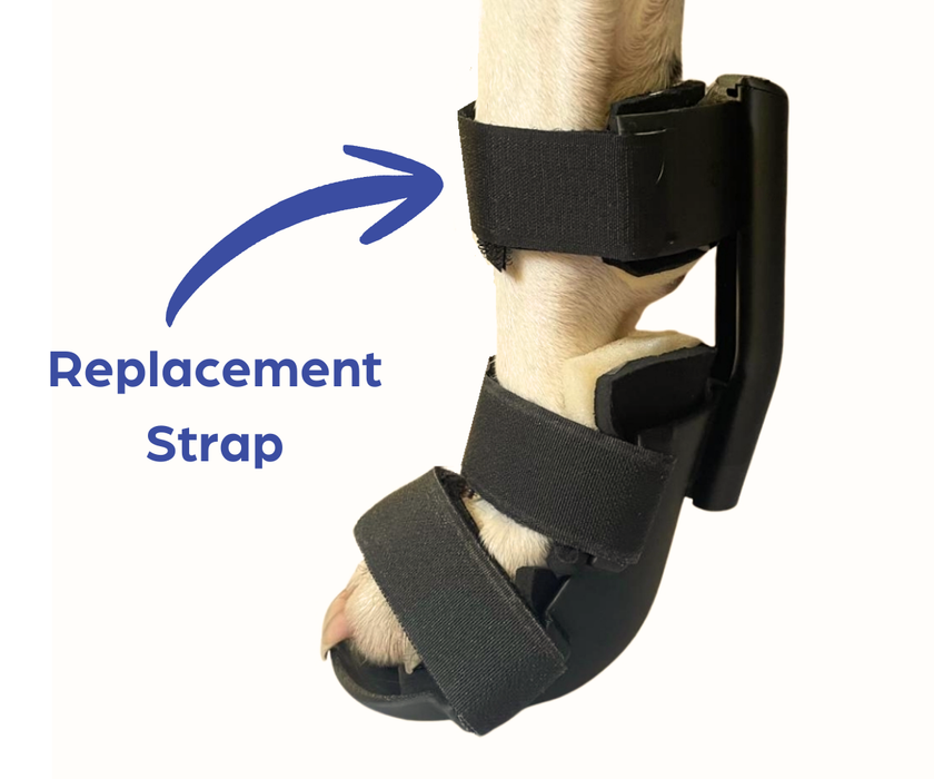 Zoomadog Replacement Splint Straps 15mm and 25mm
