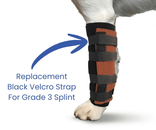 Scandi Orthopedic Replacement Velcro Strap - Spare Strap for Grade 3 Splints (one strap)