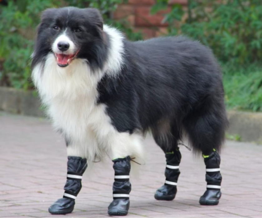 Zoomadog Reflective Waterproof Dog Boots - Durable Non-Slip Boots to Keep Paws & Legs Dry (1, 2 or 4 boots)