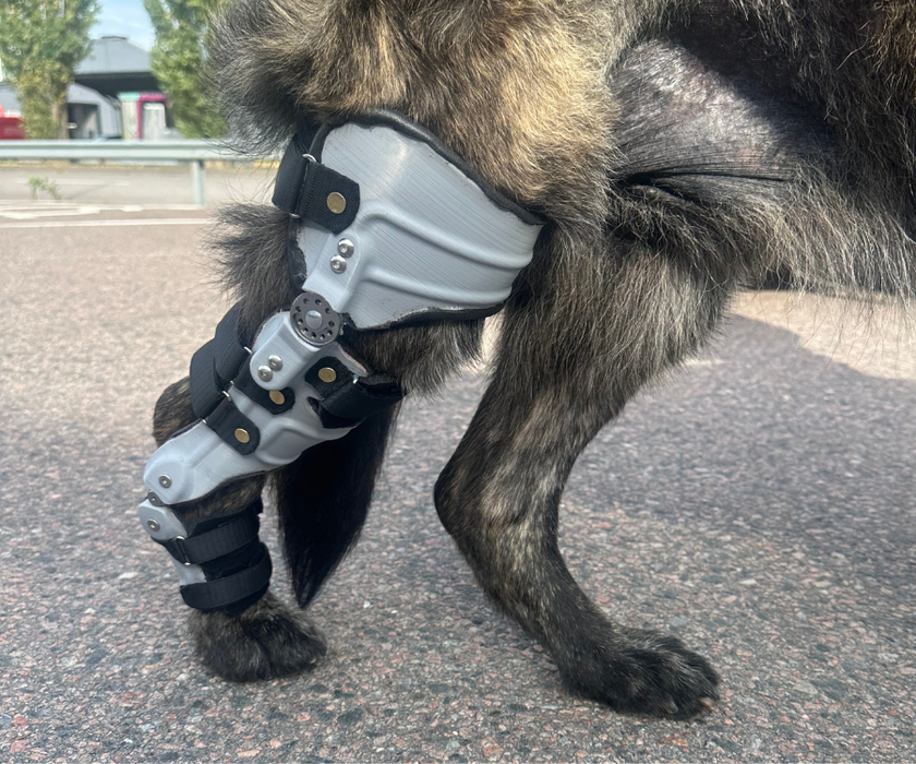 Scandi Orthopedic Custom Dog Cruciate Knee Brace - Grade 4 Fully Customised