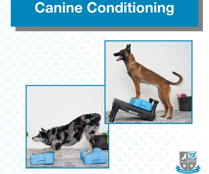 Blue-9 Digital Course for Conditioning With The Klimb Platform - Exercise Library for Strength, Mobility & Rehabilitation Support for Your Dog