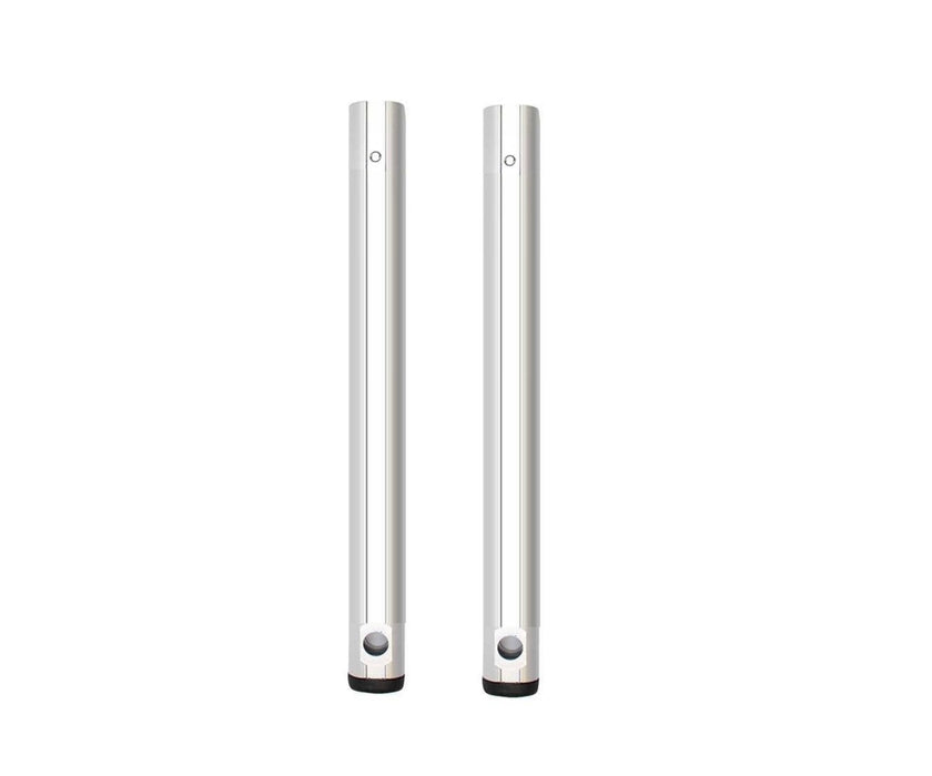 Struts - Set of 2 (Replacement)