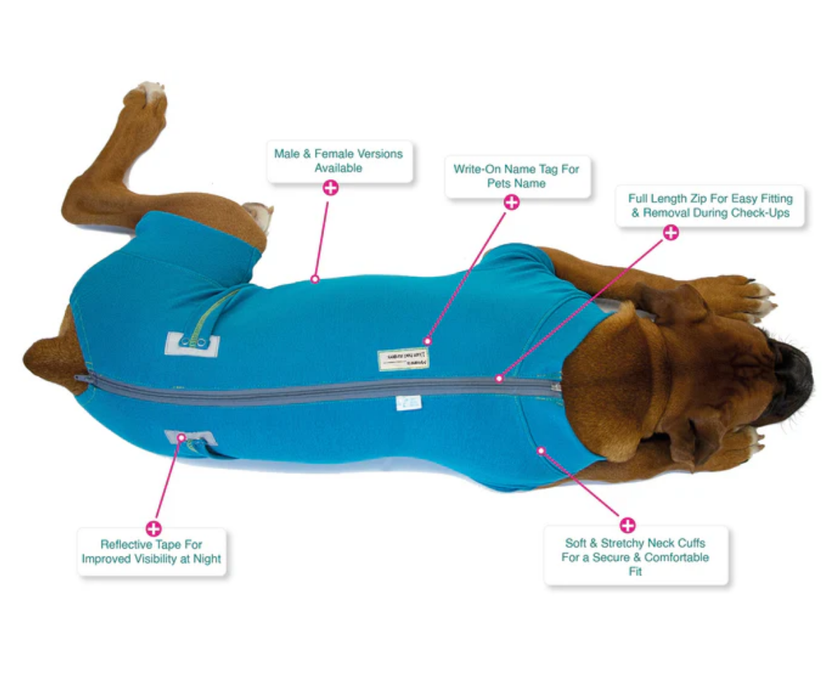 VetMedWear Recovery Suit for Dogs - Post-Surgery & Wound Protection Suit Made of 95% Organic Cotton