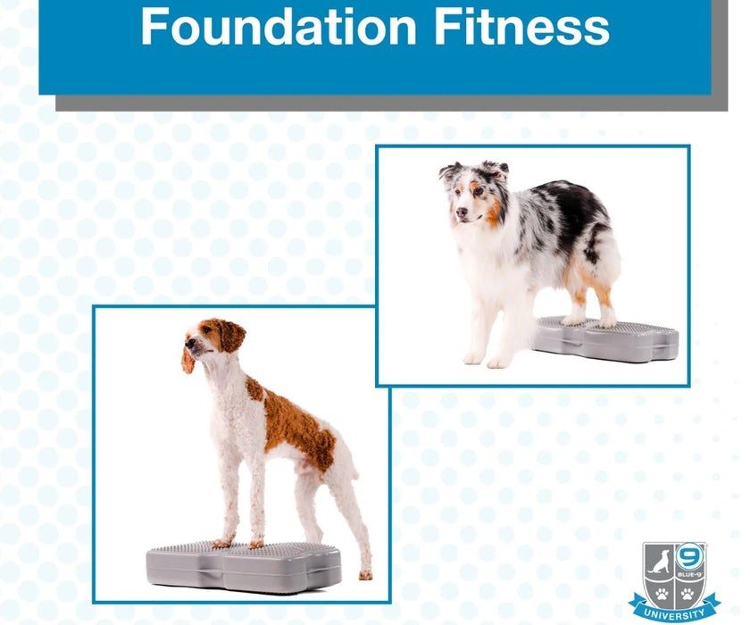 Blue-9 Foundation Fitness Training for Dogs - Structured Digital Guide to Strength Training, Balance & Conditioning With The Klimb Platform