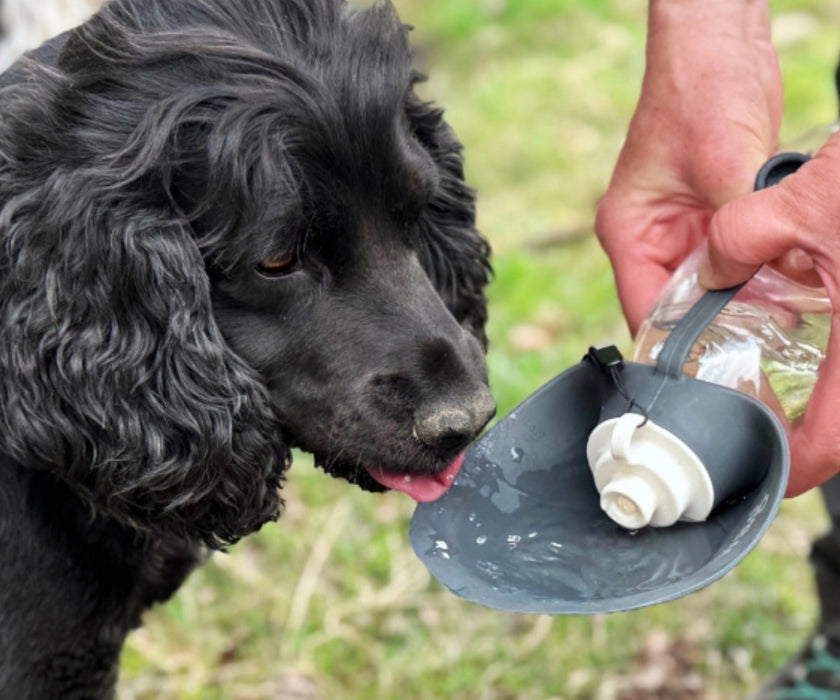 Henry Wag Dog Travel Water Bottle - Fold-Out Drinking Water Bowl For Hydration 500ml