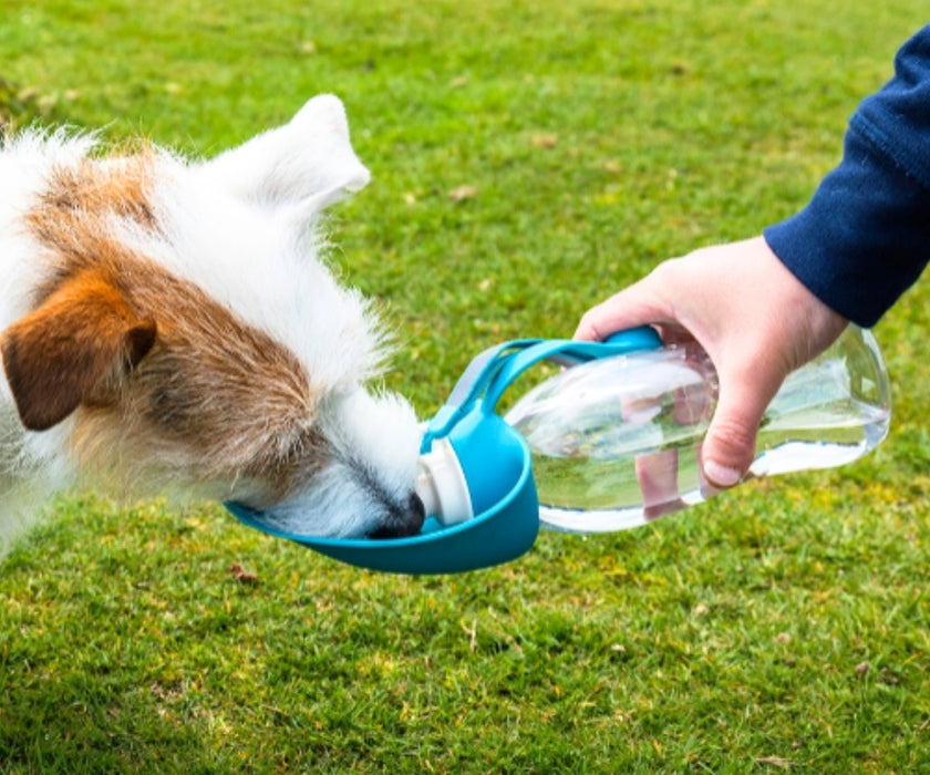 Henry Wag Dog Travel Water Bottle - Fold-Out Drinking Water Bowl For Hydration 500ml