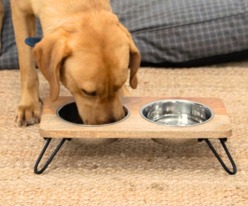 Ancol Raised Dog Feeder - Elevated Stainless Steel Bowls with Wooden Platform for Better Digestion 460ml or 880ml