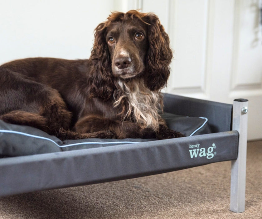 Henry Wag Elevated Orthopaedic Dog Bed - Raised Dog Bed for Better Joint Support & Airflow