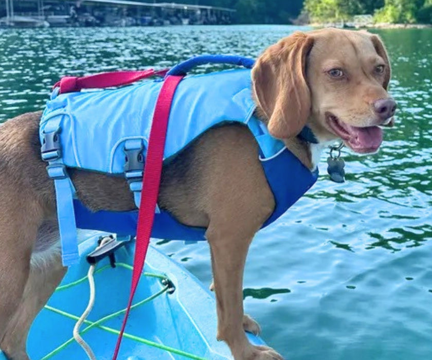 Ruffwear Confluence Dog Life Jacket - Premium Harness-Style Life Jacket for Swimming & Water Sports