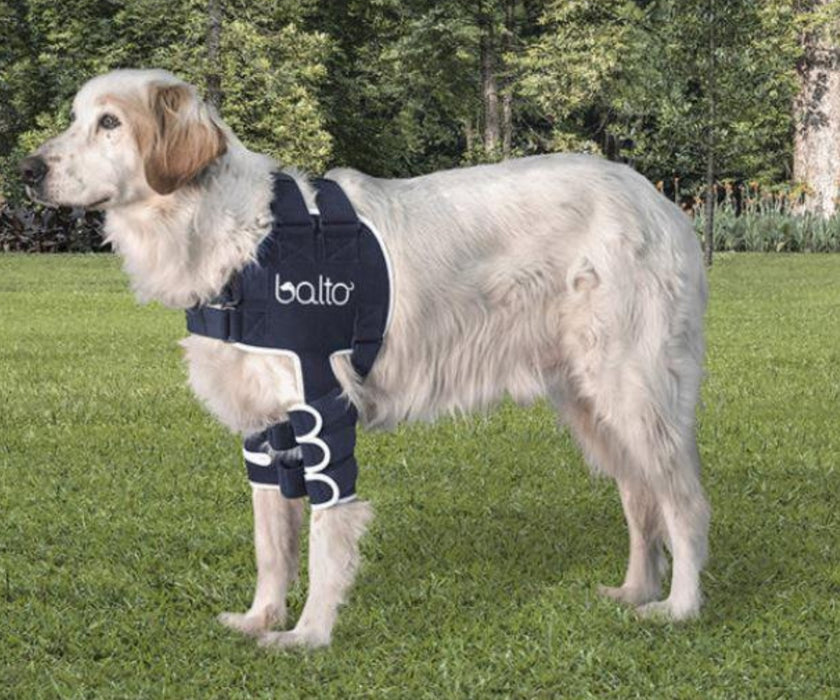 Balto® Lux - Dog Shoulder Brace