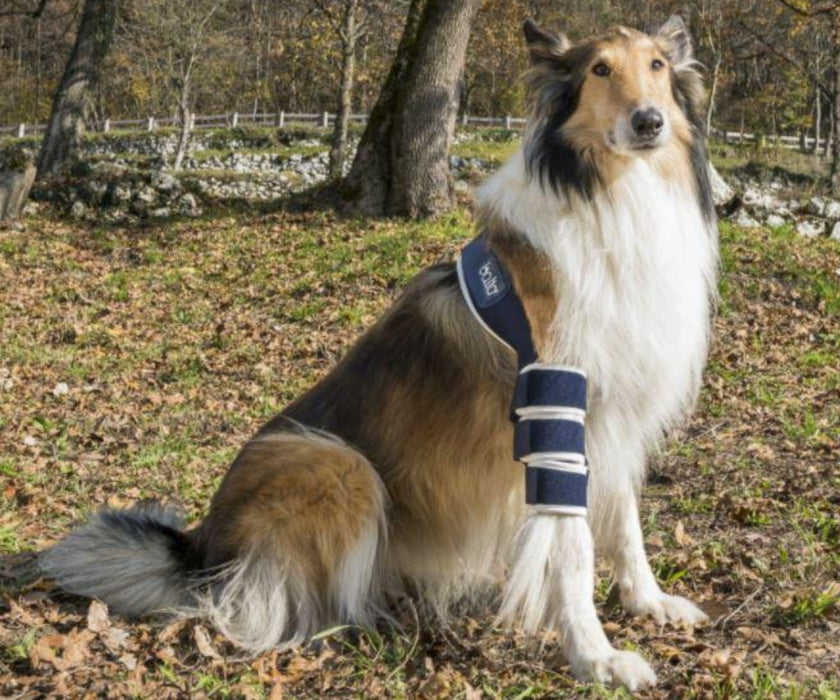 Balto® Soft - Single Dog Elbow Brace (moderate support)