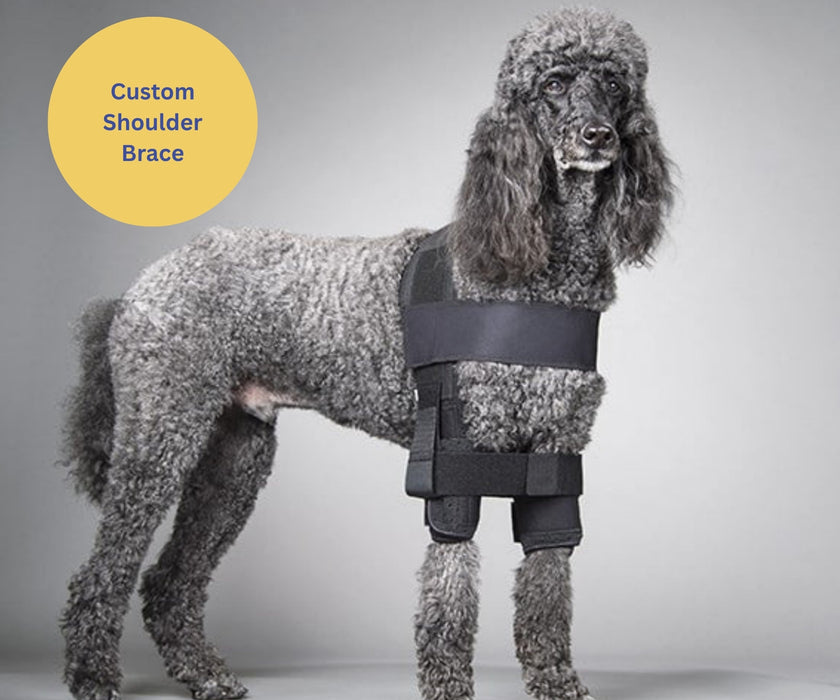 DogLeggs Dog Shoulder Stabilisation System - Support Shoulder Instability and Post-Operative Recovery