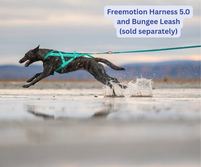 Non-Stop Dogwear Freemotion 5.0 Dog Harness - Freedom of Movement & Comfortable Support