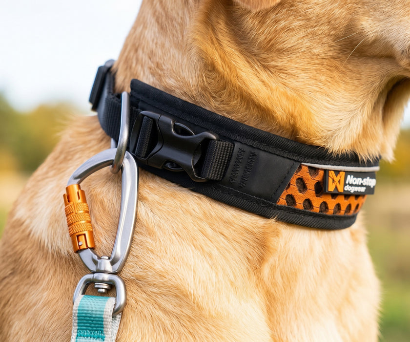 Non-Stop Dogwear Rock Adjustable Dog Collar - Breathable Comfort & Secure Fit (35cm–65cm Adjustable Neck)