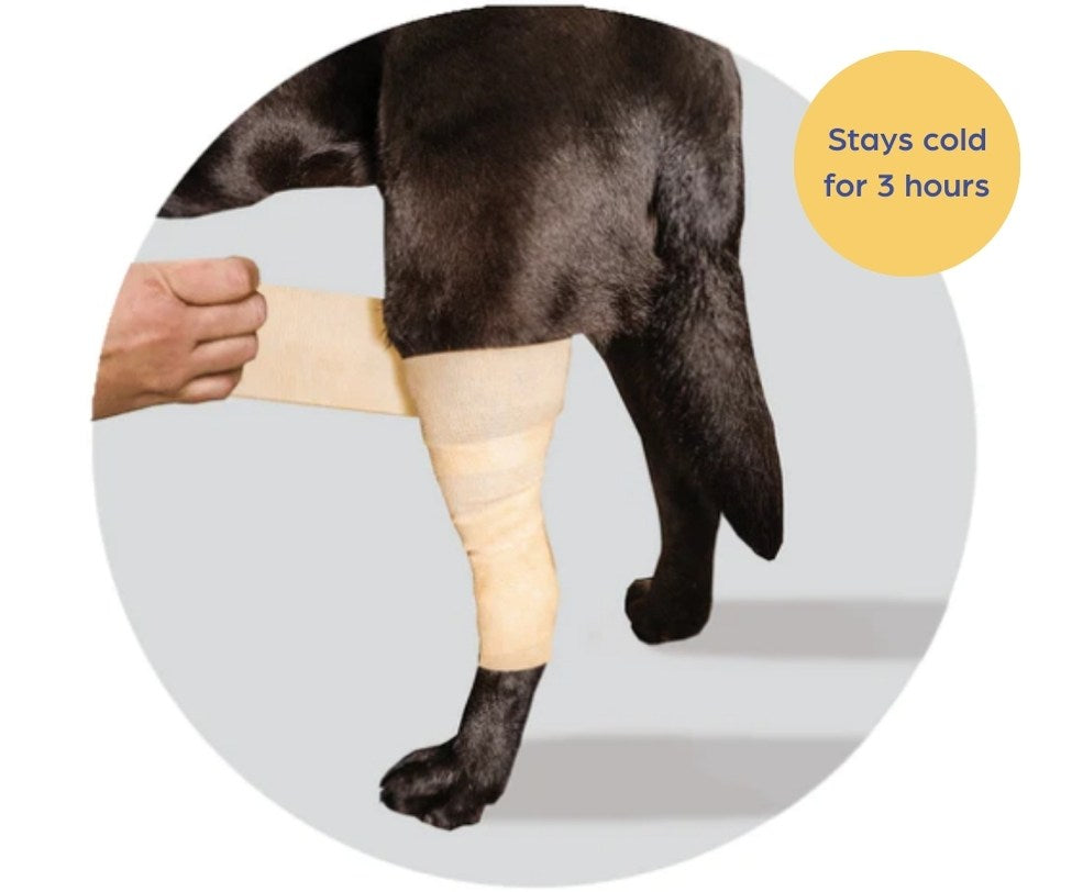 Cold Compression Dog Bandage - Excellent for Reducing Swelling and Pai ...