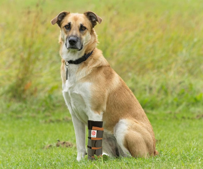 Scandi Orthopedic Dog Carpal Front Splint - Grade 3 (rigid)