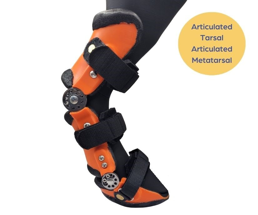 Scandi Orthopedic Hock and Tarsal Rear Splint Fully Customised - Grade 4 (rigid)