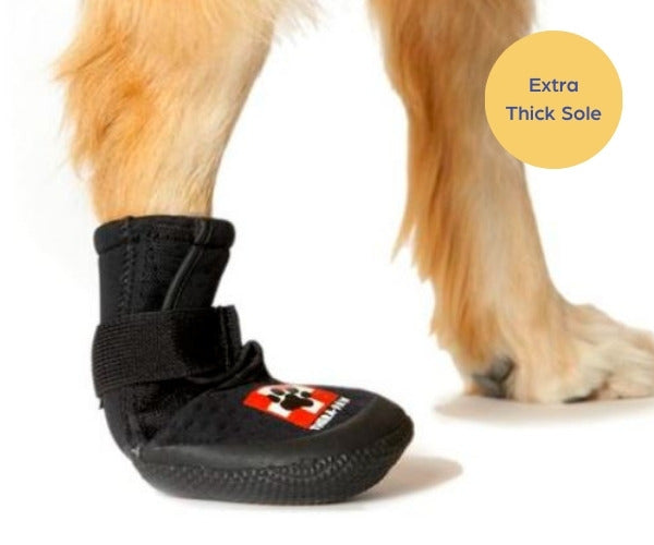 Therapaw Protective Dog Boot (Single Boot) Extra Thick Sole