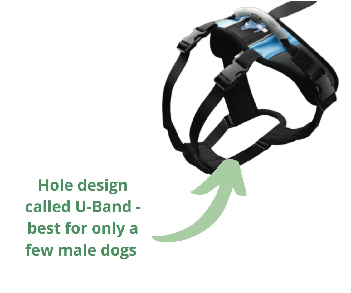 Male dog harness hotsell