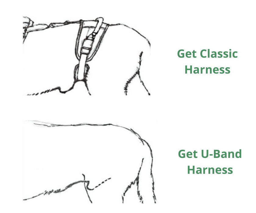 Help Em Up Dog Harness - U-Band Design (for male dogs whose penis is located further back)