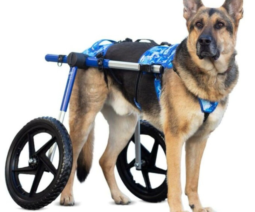 Walkin Buddy Up Front Harness - Great Quad Wheelchair Harness or General Use