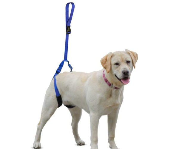 Walkin’ Bottoms Up Dog Leash (Rear Support Lead)