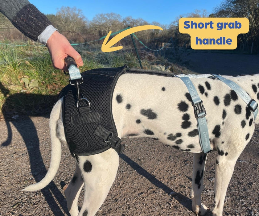 Zoomadog Happy Hips Dog Brace - Excellent for Hip Dysplasia & Hip Weakness