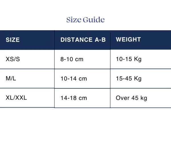 Balto Flexor Adjustable Hock Brace for Dogs (moderate)