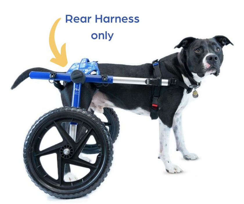 Walkin Buddy Up Rear Harness Blue (harness only) - for wheelchairs or general use