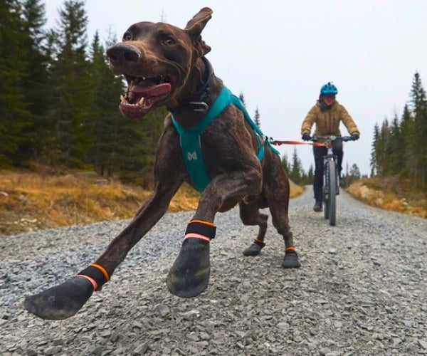 Non-Stop Dogwear Protector Dog Boots - Durable Protection Against Rough Surfaces (four boots)