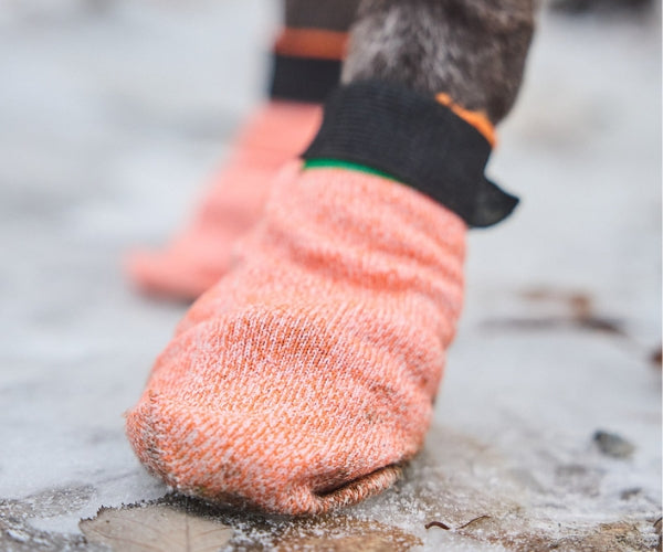 Non-Stop Dogwear Protector Light Dog Socks - Durable Paw Protection Socks With Anti-Cut Material (four socks)