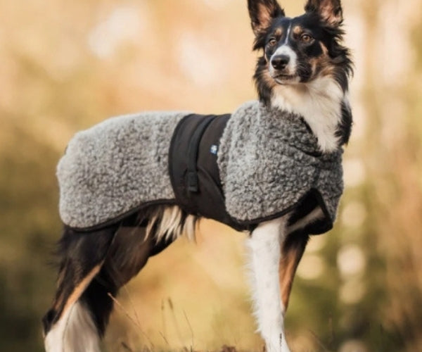 Hundlands Hybrido Wool Dog Jacket - Merino Wool Coat to Keep Your Dog's Joints & Muscles Warm